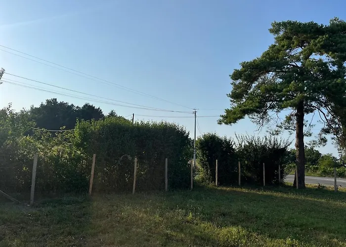 La Maison Du Pin Les Salles-de-Castillon